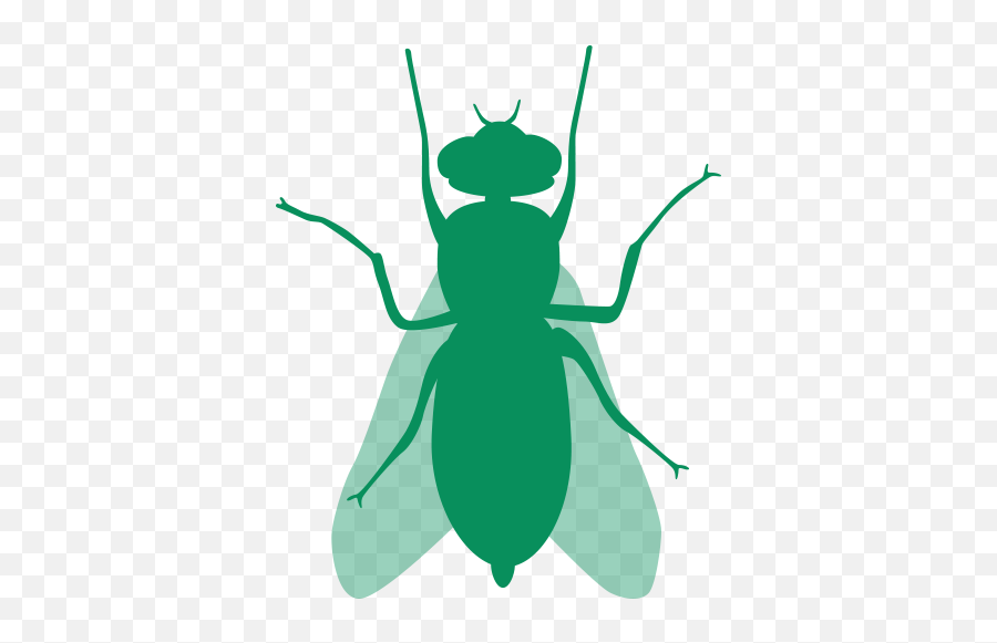 Outdoor Insects Emoji,Mosquito Clipart Black And White