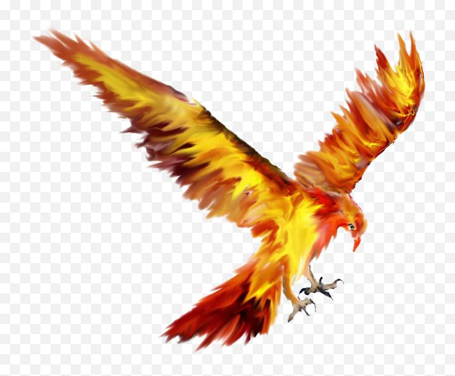 Phoenix Bird Tattoo Sketch Drawing - Phoenix Png Download Fawkes The Phoenix Png Emoji,Phoenix Clipart