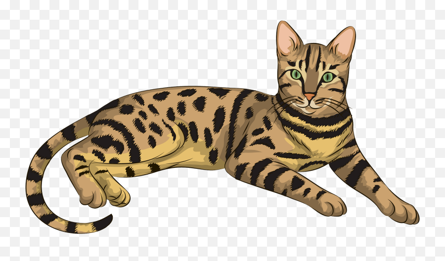 Brown - Bengal Cat Clipart Emoji,Cat Clipart
