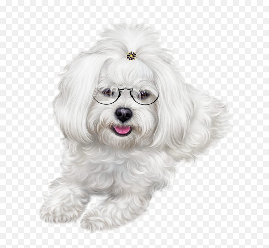 Download Puppy Clipart Maltipoo - Christmas Puppy Images Vulnerable Native Breeds Emoji,Puppy Clipart