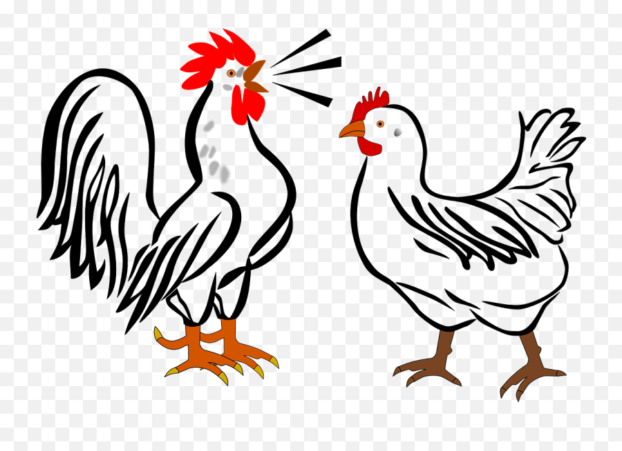 Hen And Rooster Clip Art At Clker - Hen And Rooster Clip Art Emoji,Rooster Clipart