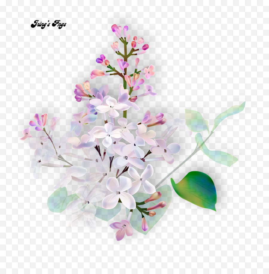 Flores Rosas Png - Herbal Medicine Emoji,Rosas Png