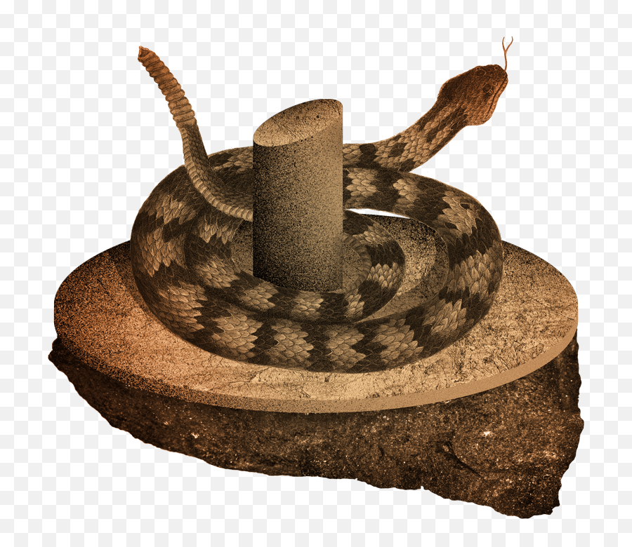 Make The Most Out Of Amazon Echo And Google Home Wired - Serpent Emoji,Google Home Png