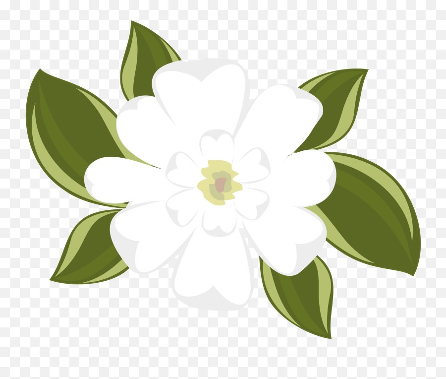 Magnolia Clipart No Background - Magnolia Clipart Emoji,Magnolia Png