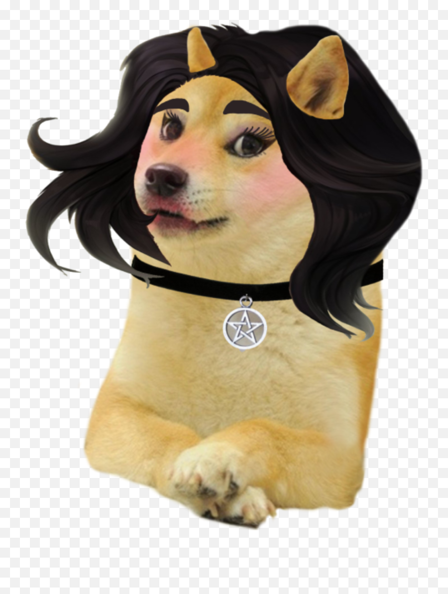 Doomer Girl Doge - Female Dog Meme Template Emoji,Doge Png