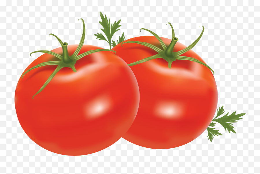 Tomato Cliparts Download Free Clip Art - Tomatoes Clipart Png Emoji,Tomato Clipart