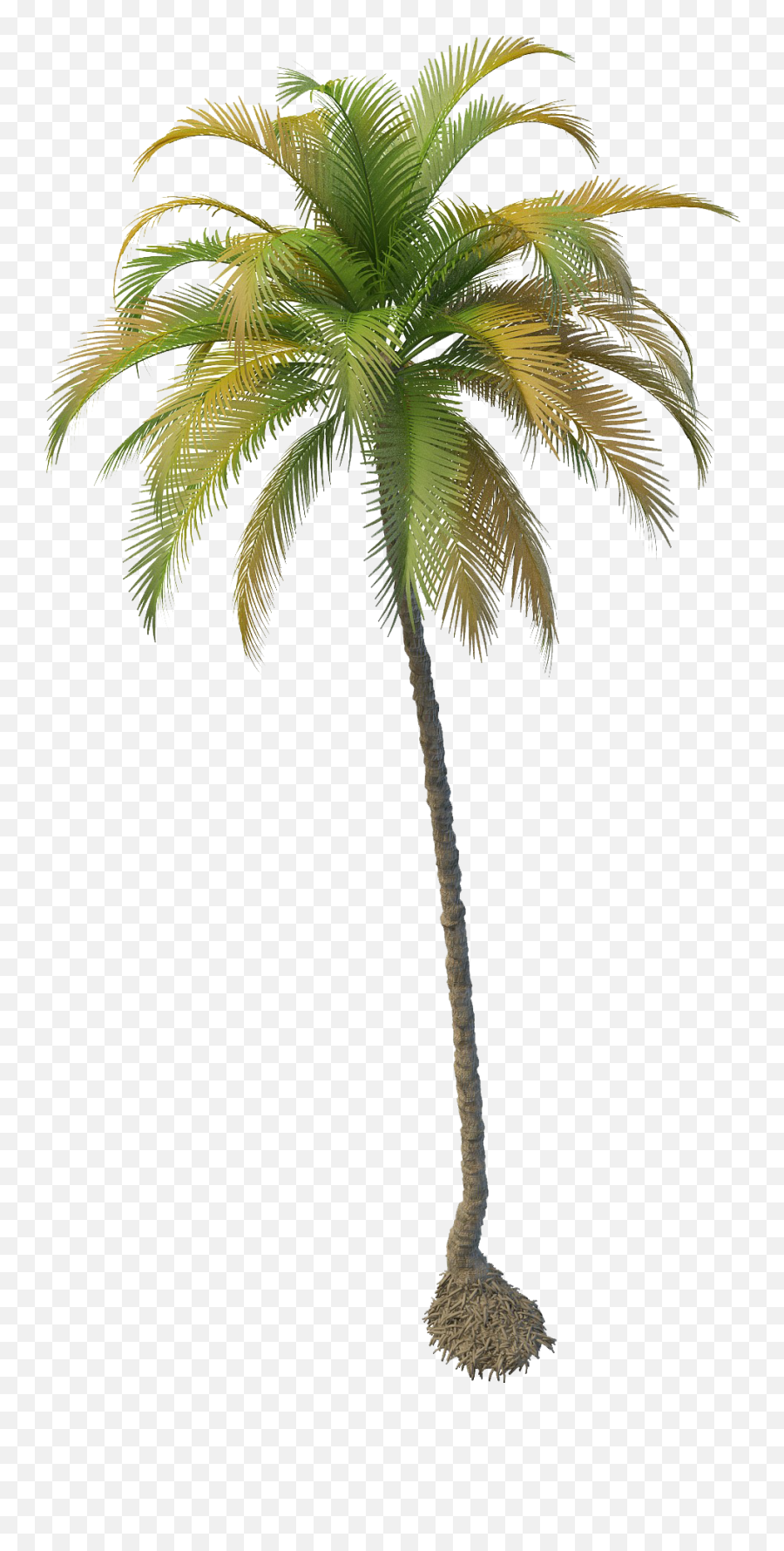 Coconut Trees - Coconut Tree Png File Emoji,Palm Trees Png