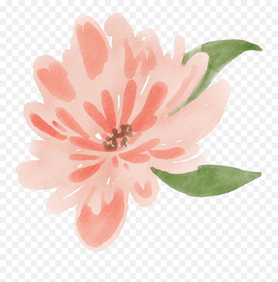 Free Watercolor Flower Images - Peach Delight Free Pretty Flower Png Peach Emoji,Watercolor Flowers Png