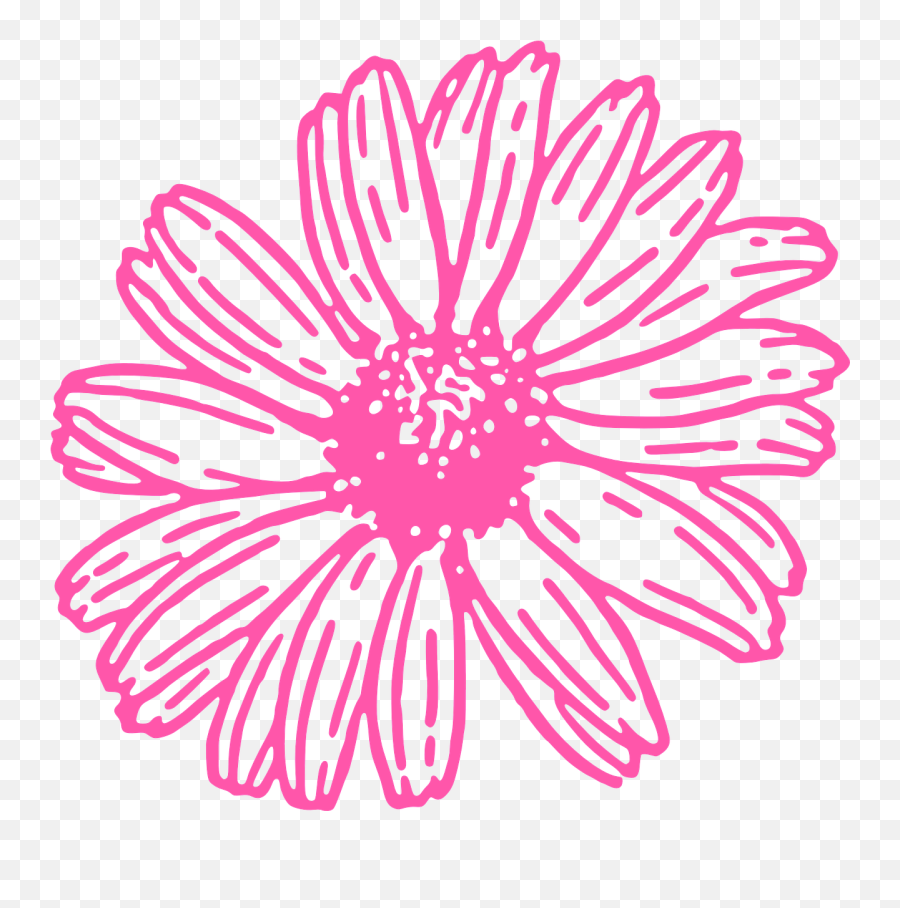 Daisy Flower Pink Nature Floral Png Picpng Emoji,Daisy Flower Png