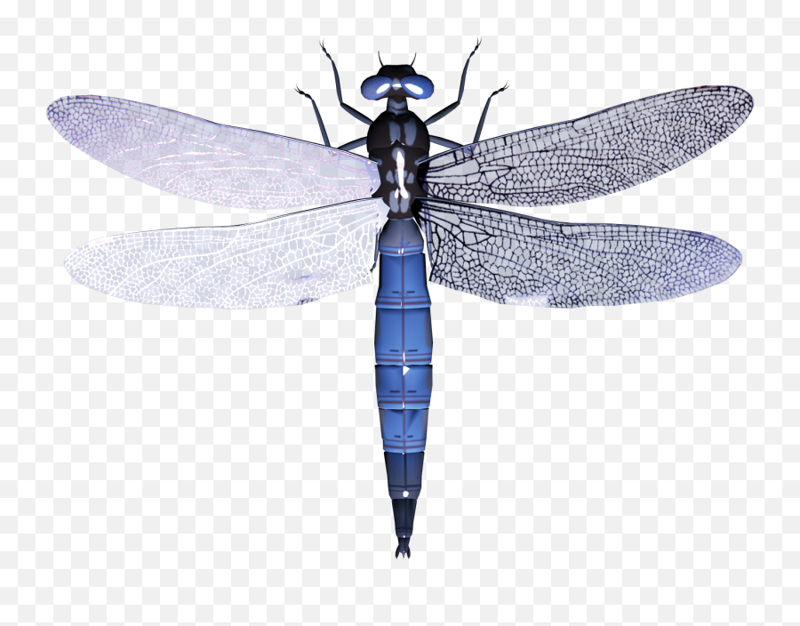 Download Dragonfly Png Image For Free - Dragonfly Clipart Insects Emoji,Dragonfly Png