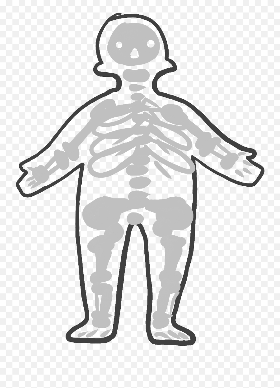 Skeletal System - Skeletar System Clipart Emoji,Skeletal Clipart