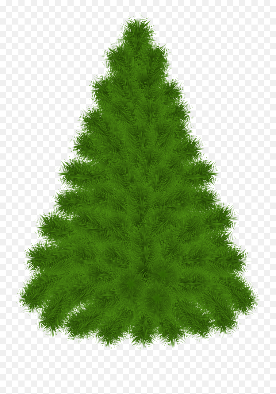 Pine Tree Clipart Png Transparent Png - Boreal Conifer Emoji,Pine Tree Clipart