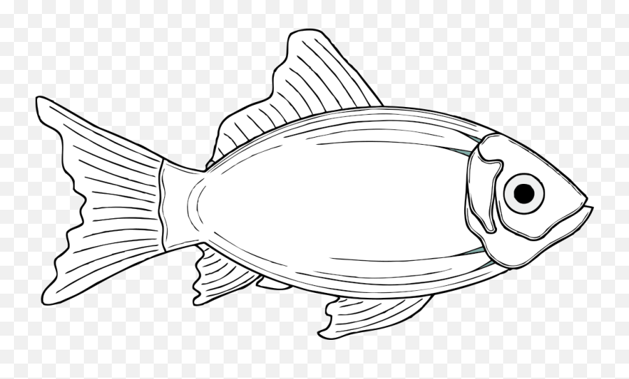 Cod Fish White Png Svg Clip Art For Web - Download Clip Worst Day Fishing Is Better Than Emoji,Broken Chain Clipart