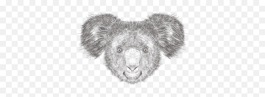 Best Premium Koala Illustration Download In Png U0026 Vector Format Emoji,Koala Png