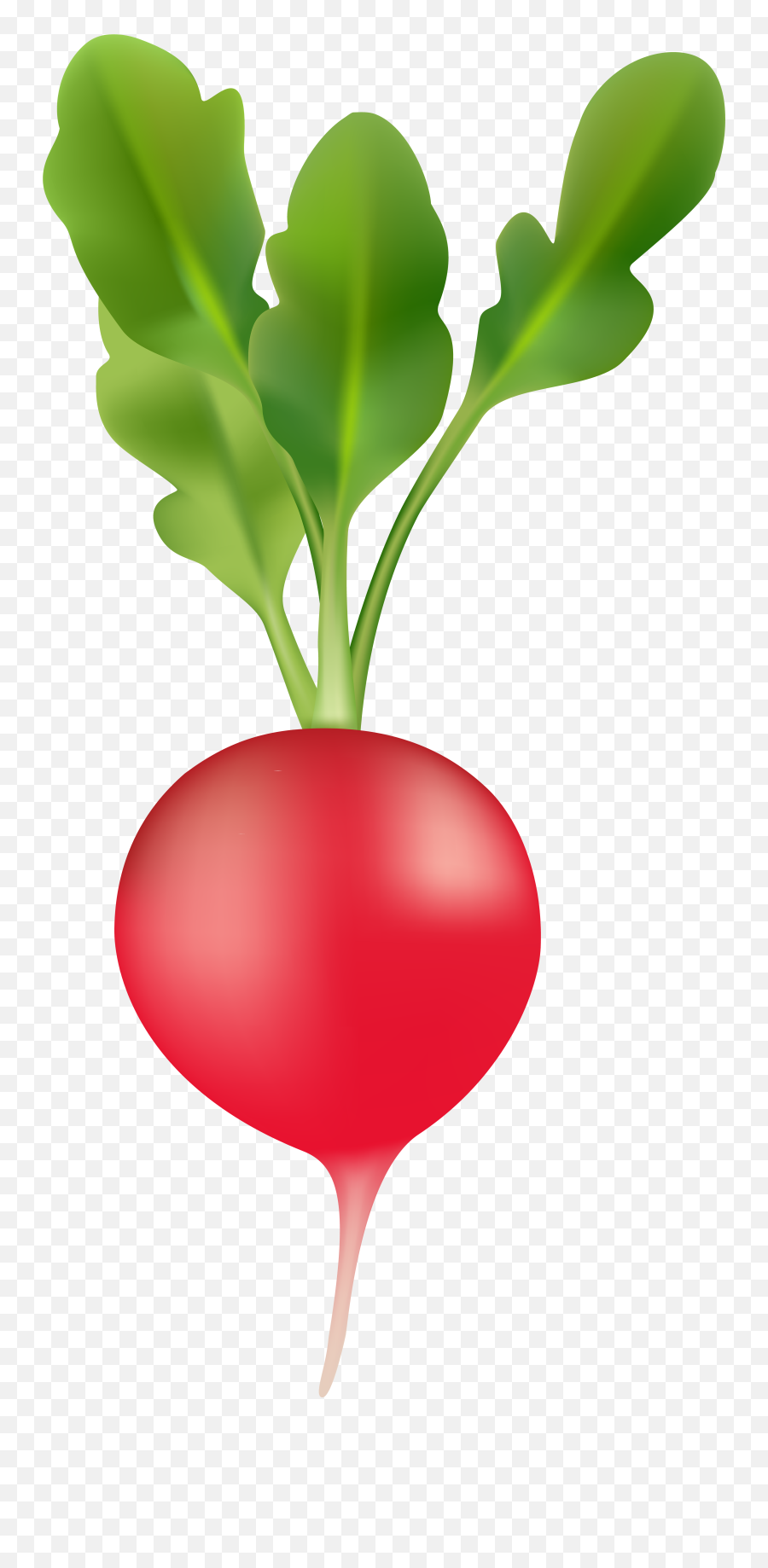 Radish Transparent Image - Radish Clipart Emoji,Vegetable Clipart