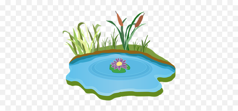 Download Lily Pad Clipart Garden Pond - Free Clipart Pond Lake Clipart Emoji,Lily Pad Clipart