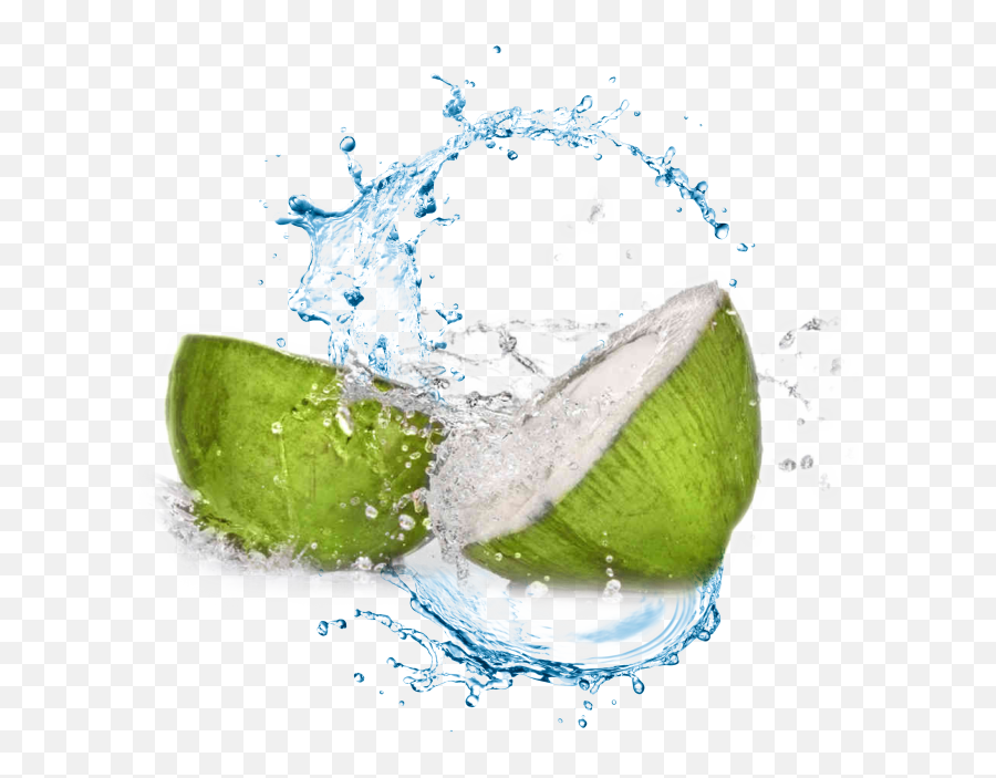 Coconut Water Transparent Background - Transparent Background Water Drop Splash Png Emoji,Water Transparent Background