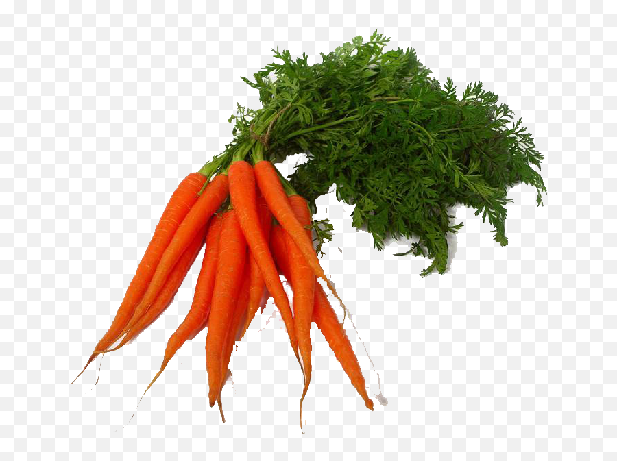 Carrot Png Clipart Hq Png Image - All Vegetables Images Png Emoji,Carrot Clipart