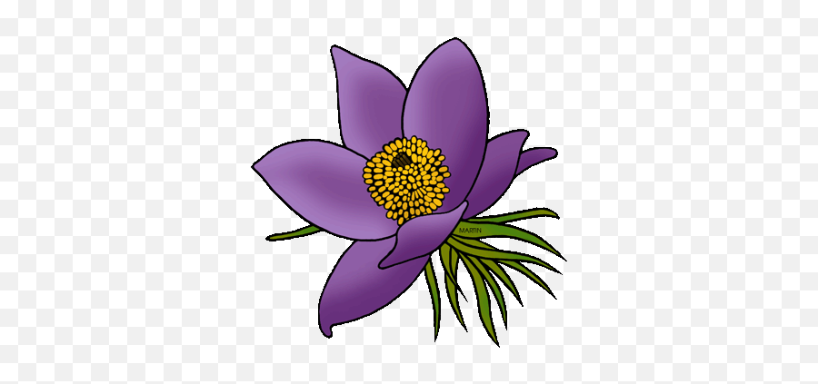 Violet Clipart - Drawing North Dakota State Flower Emoji,Violet Clipart