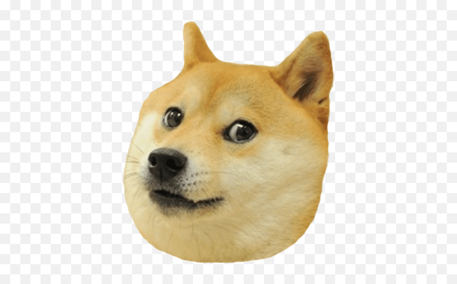 Doge Transparent Png Images - Transparent Doge Png Emoji,Doge Png