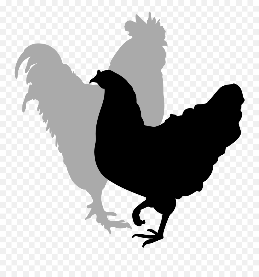 Rooster Silhouette Clip Art - Rooster Hen Clipart Silhouette Emoji,Rooster Clipart