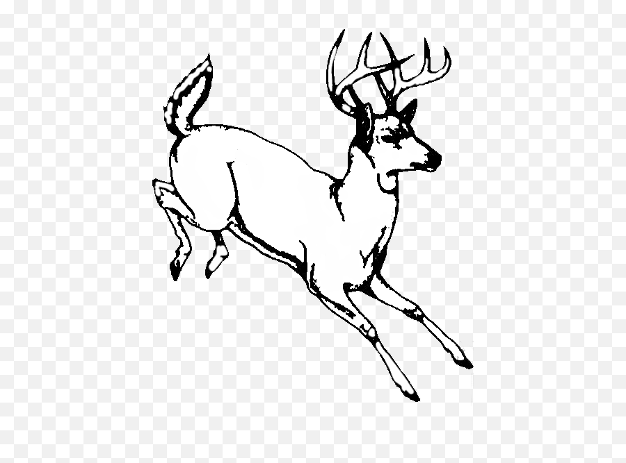 Best Deer Skull Clip Art - Draw A Whitetail Buck Emoji,Deer Head Logo