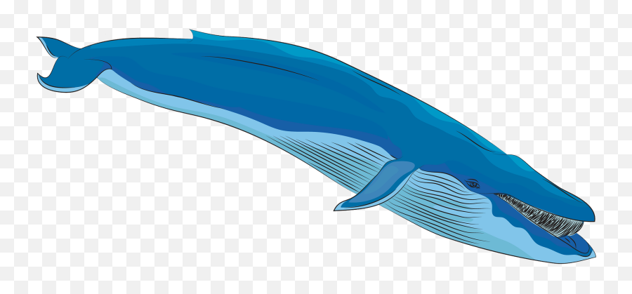 Blue Whale Clipart Emoji,Whale Tail Clipart
