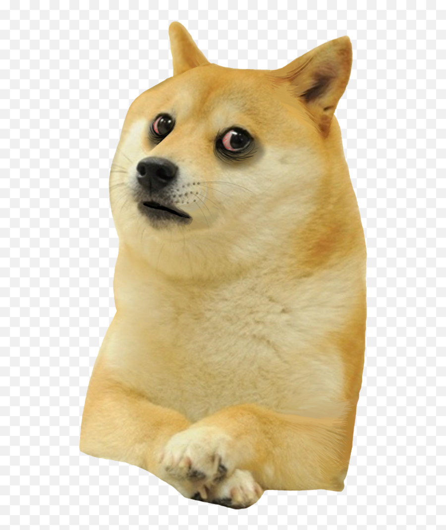 Doomer Doge Png - Doge Emoji,Doge Png