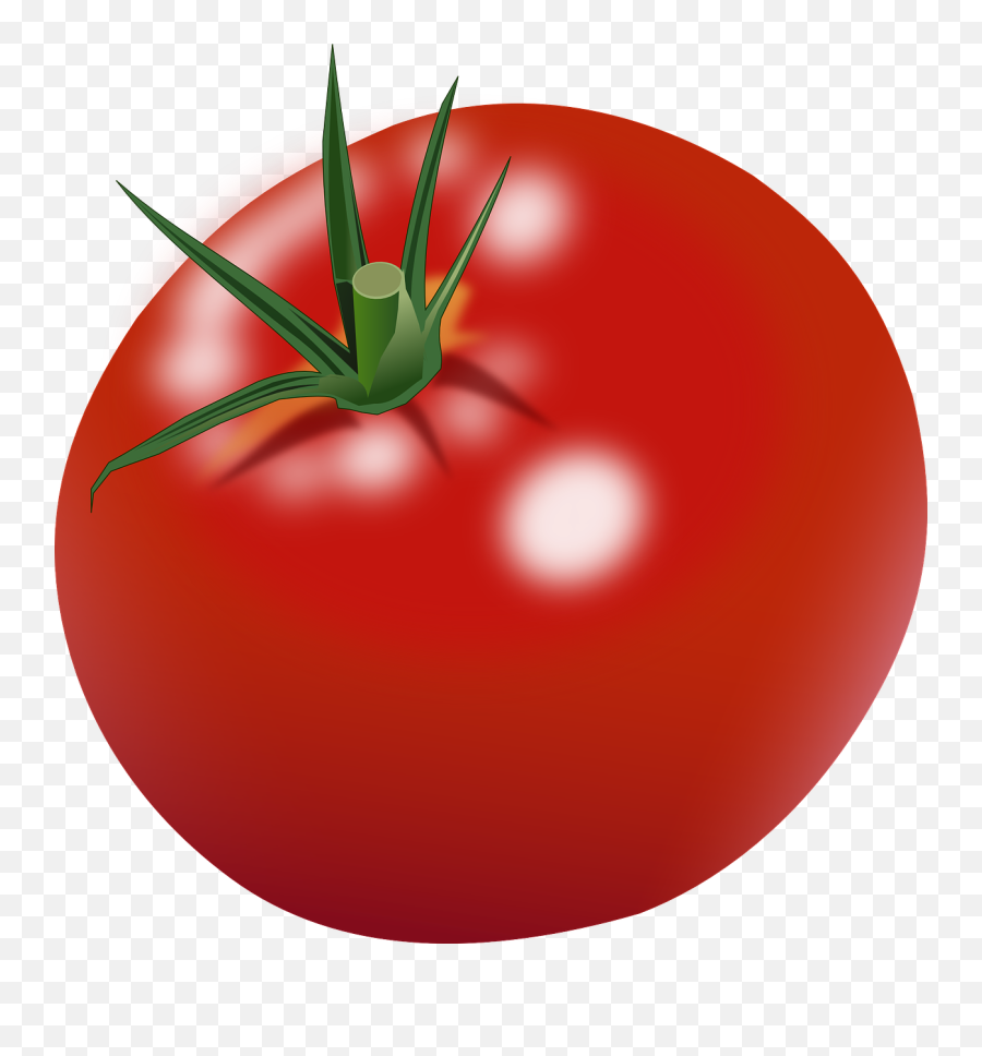 Clipart Images Tomato Clipart Images - The Pushkin State Museum Of Fine Arts Emoji,Tomato Clipart