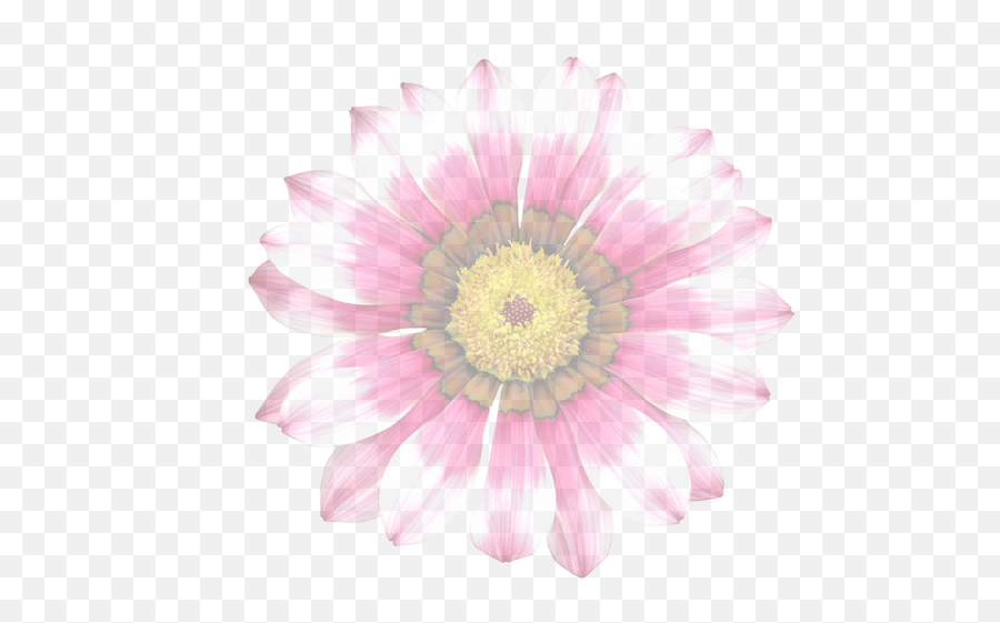 Summer Flower Graphic Isolated Transparent Png Images U2013 Free Emoji,Summer Flower Clipart