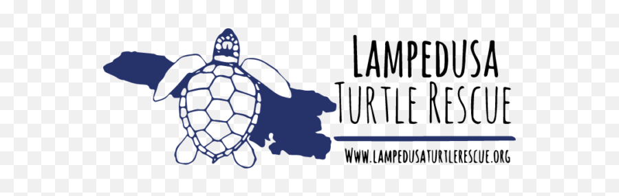 Lampedusa Turtle Rescue Equestrio Foundation Emoji,Sea Turtle Logo