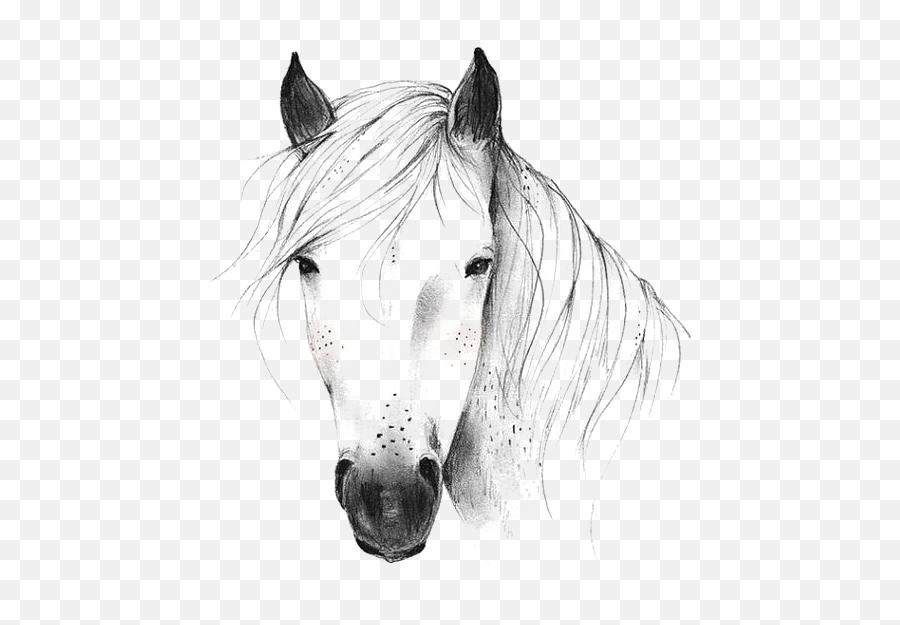 71 Horse Png U0026 Horse Clipart Transparet Ideas Horses Clip Emoji,Horses Clipart Black And White