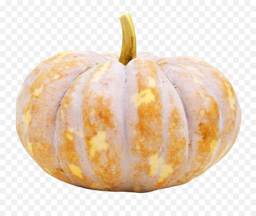 Pumpkin Png Image - Pumpkin Png Emoji,Pumpkin Png