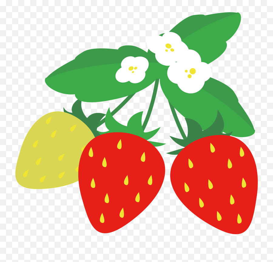 Strawberries On The Plant Clipart Free Download Transparent - Transparent Png Strawberry Plant Clipart Emoji,Strawberries Clipart