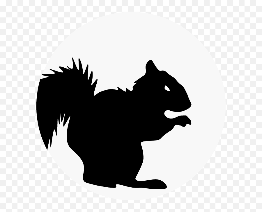 Free Black And White Squirrel Clipart - Fox Squirrel Emoji,Squirrel Clipart Black And White
