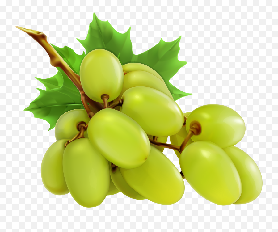 Grapes Clipart Red Grape - Single Fruits Images Png Emoji,Grapes Clipart