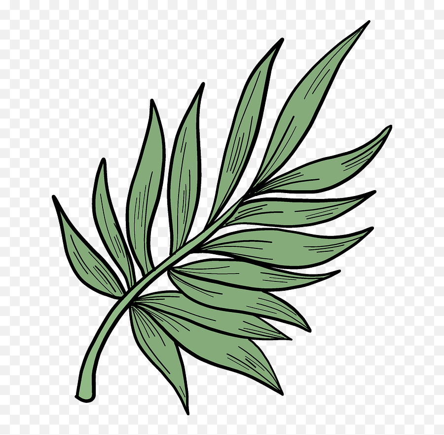 Palm Leaf Clipart Free Download Transparent Png Creazilla Emoji,Free Leaf Clipart