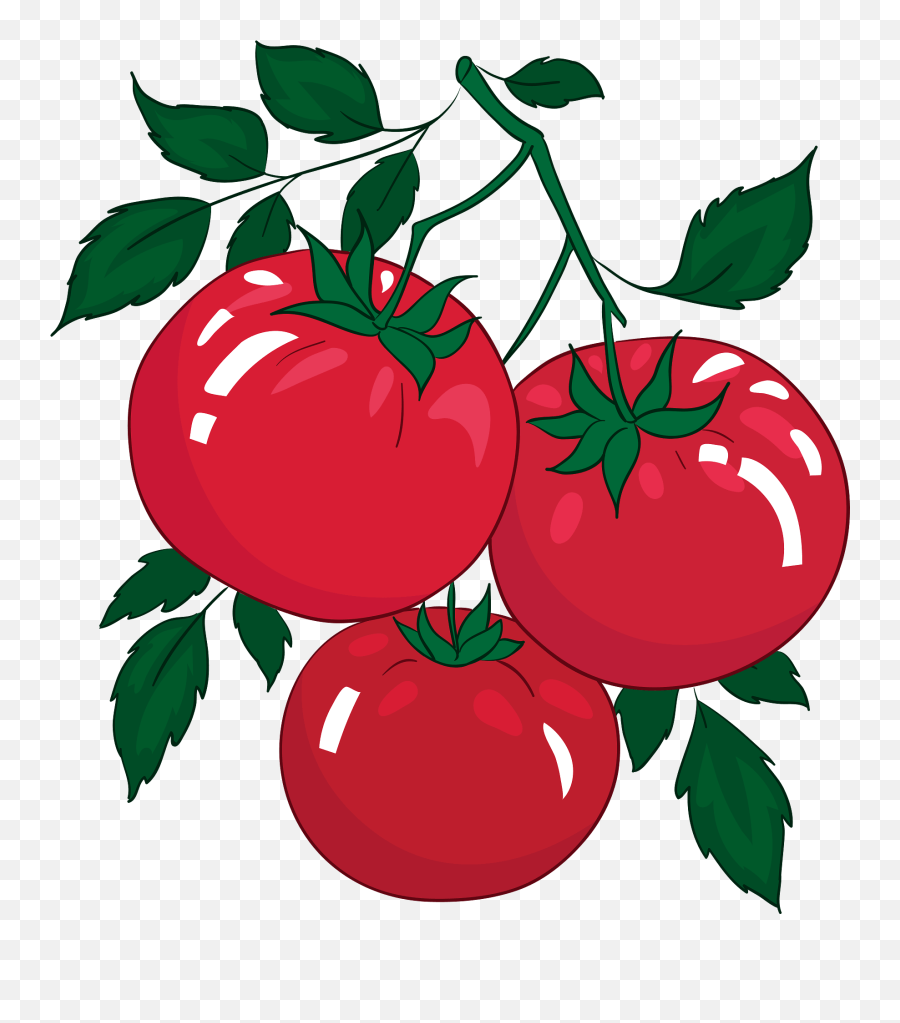 Tomato Clipart - Clipart Pictures Of Tomatoes Emoji,Tomato Clipart