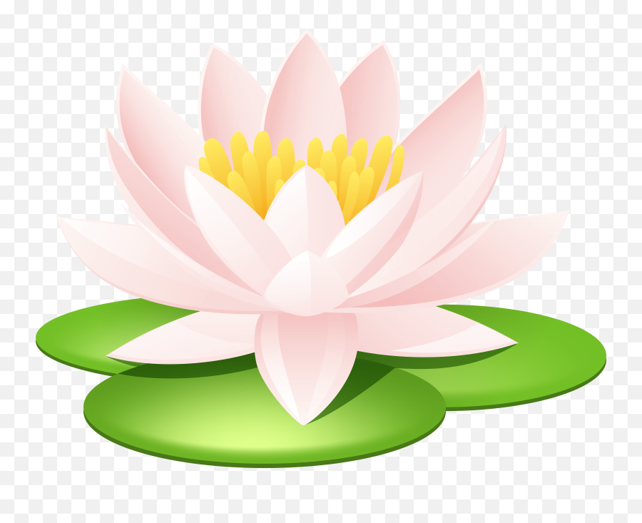 Download Tattoo Nelumbo Egyptian Lotus Nucifera Water Seed Emoji,Seed Clipart