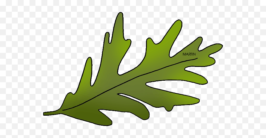 Green Oak Leaf - Charter Oak Leaf Emoji,Oak Leaf Clipart