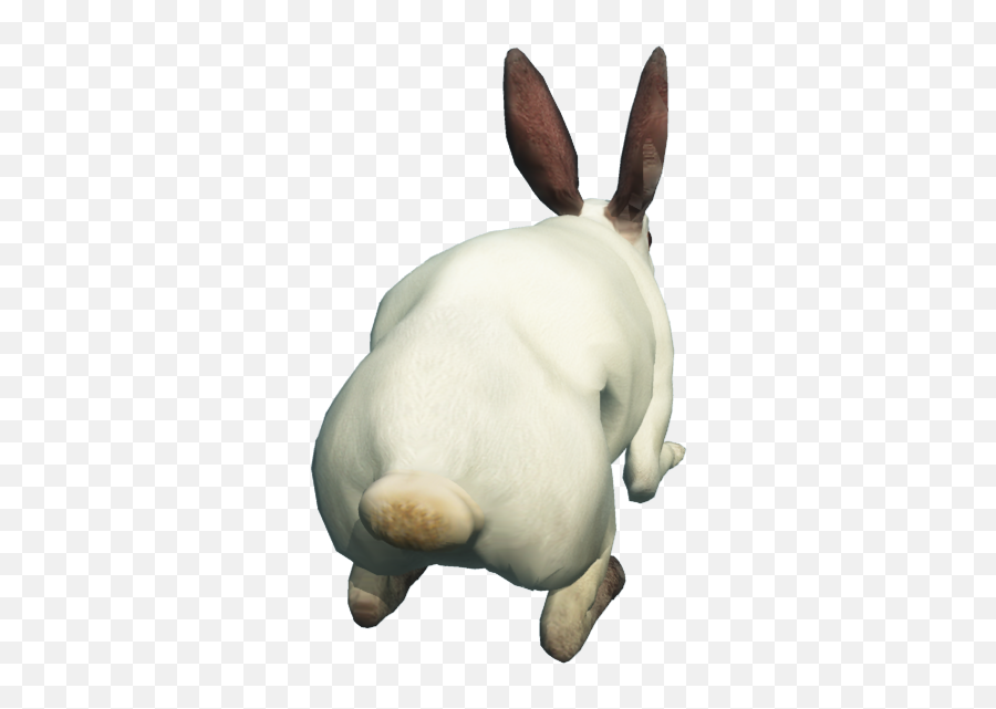 Free Download Of Rabbit Icon Clipart - Transparent Rabbit Back Png Emoji,White Rabbit Png