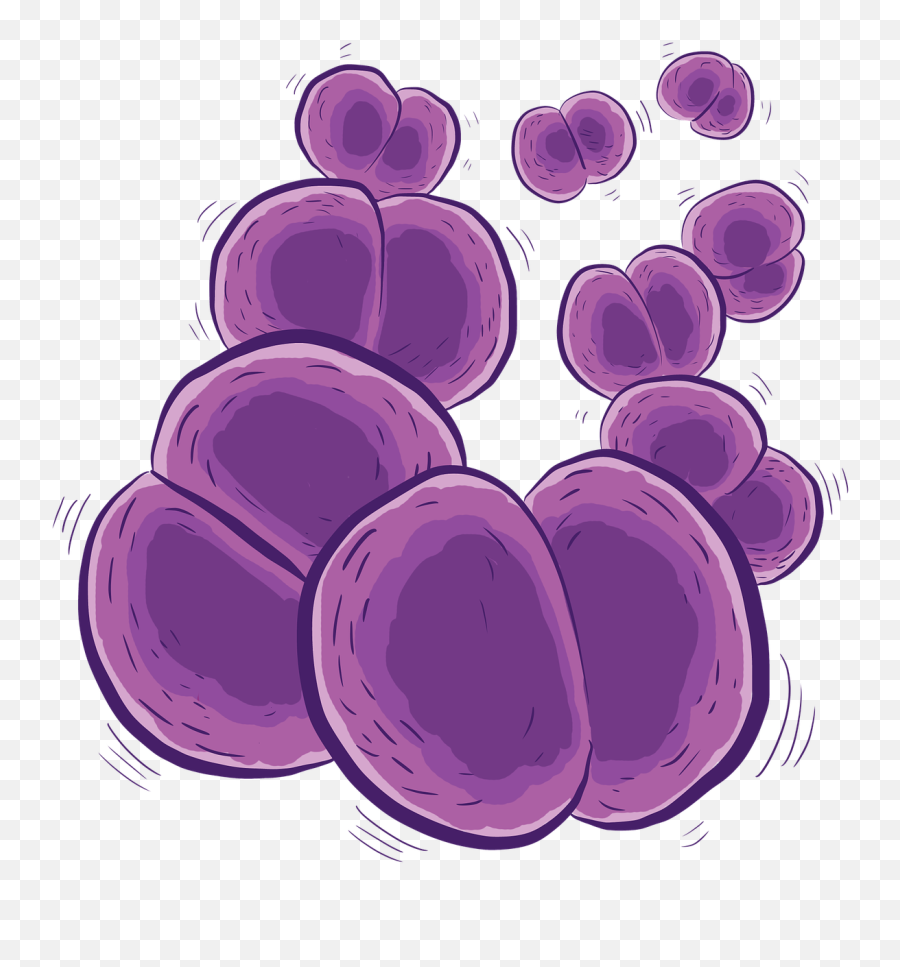 Bacteria Bacterium Png Picpng - Neisseria Bacteria Emoji,Bacteria Png