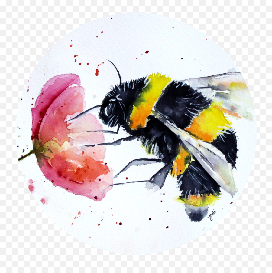 Download Adrianne M Troia - Bee On Flower Watercolor Png Emoji,Bee Transparent Background