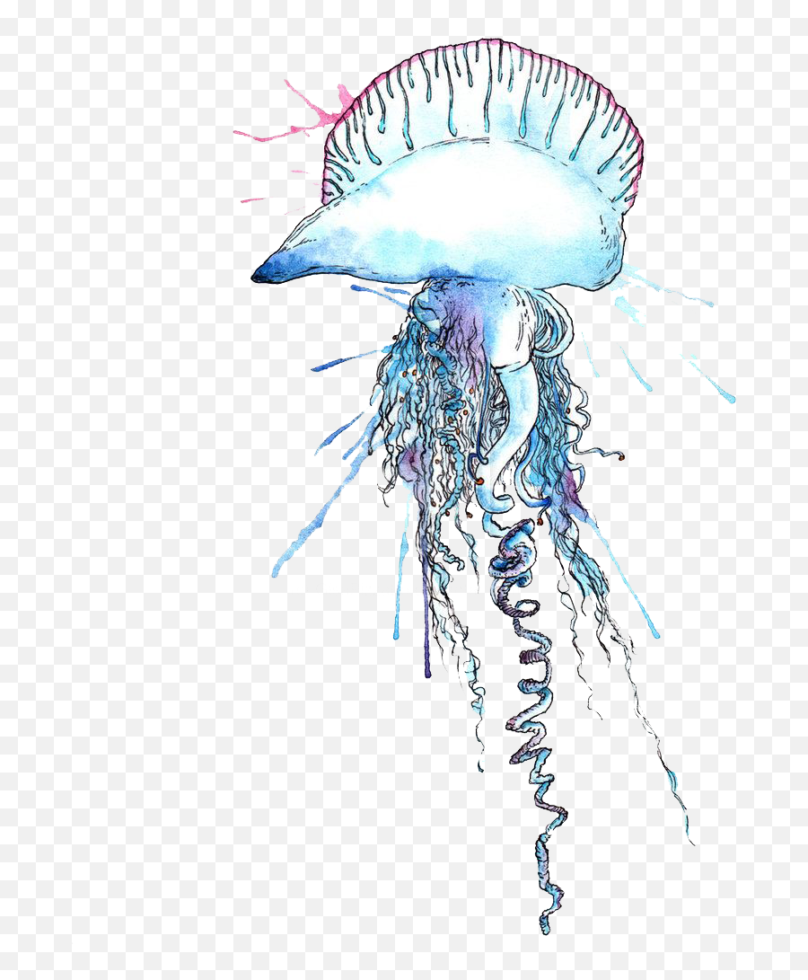 Free Png Blue Bottle Jellyfish Png Images Transparent - Animated Man Of War Jellyfish Emoji,Jellyfish Transparent Background
