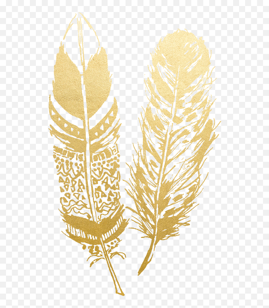Gold Feathers Png Transparent Png Image - White Boho Feathers Transparent Background Emoji,Feathers Png