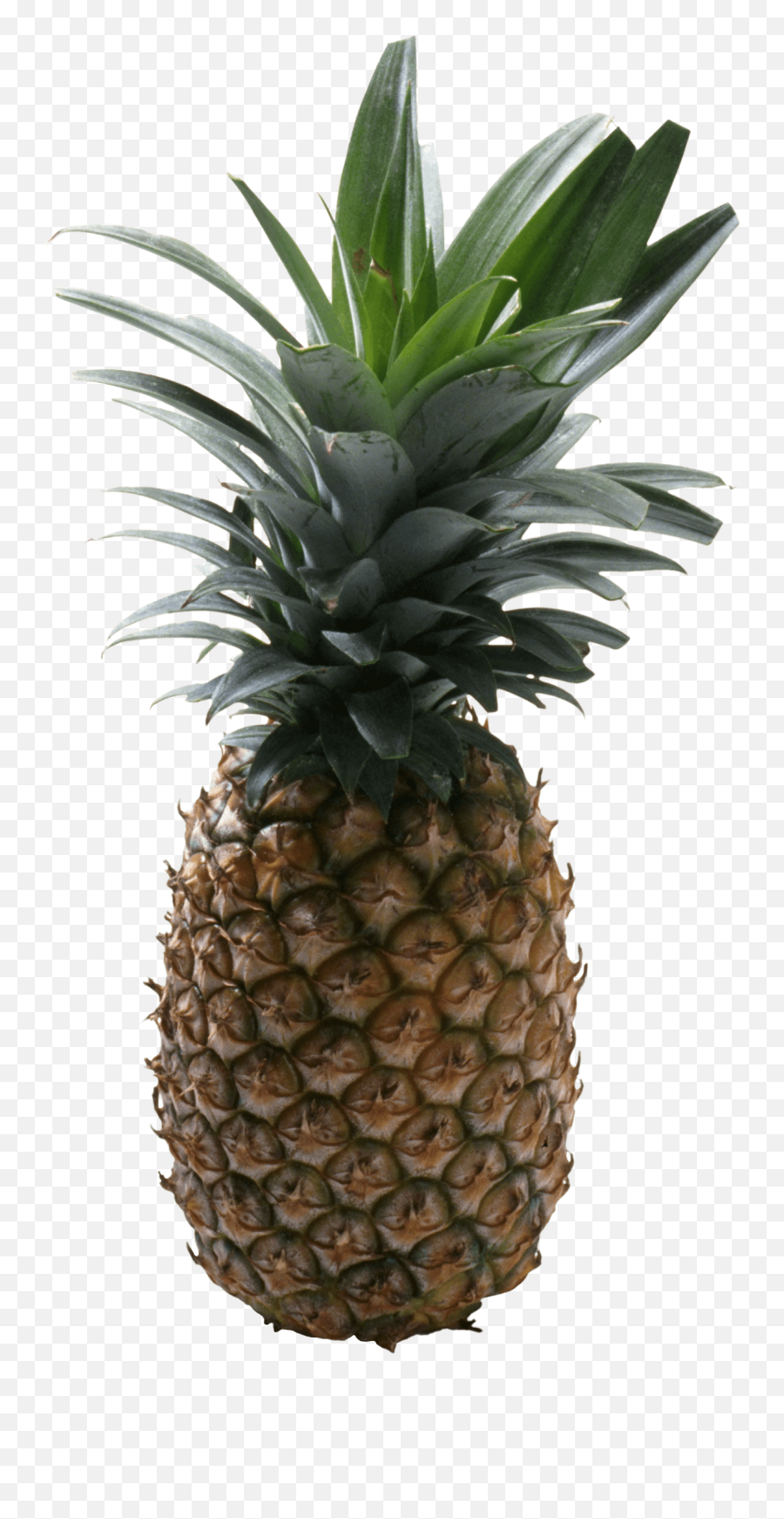 Pineapple Png No Background - Pineapple No Background Emoji,Pineapple Png