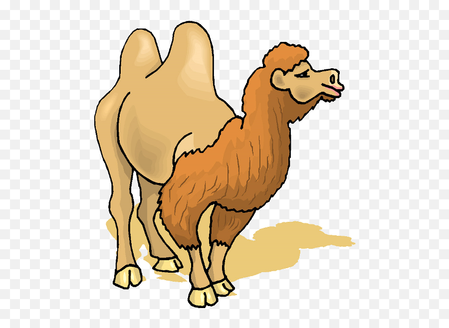 Download Hd Cute Camel Clipart Funny Pictures - Bactrian Bactrian Camel Clipart Emoji,Funny Clipart