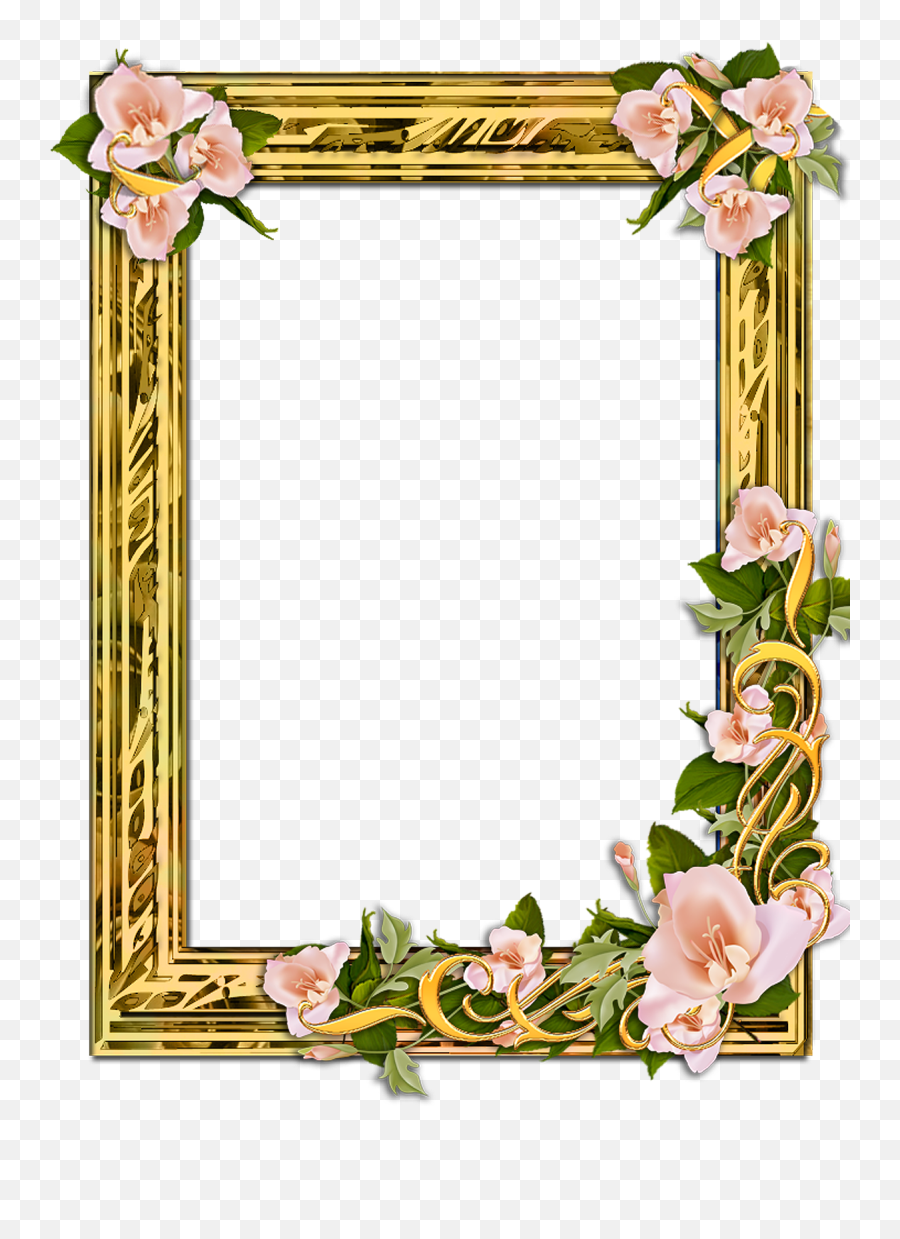 Png Gold Frame With Flowers On A Transparent Background - Frame No Background Png Emoji,Frame Transparent