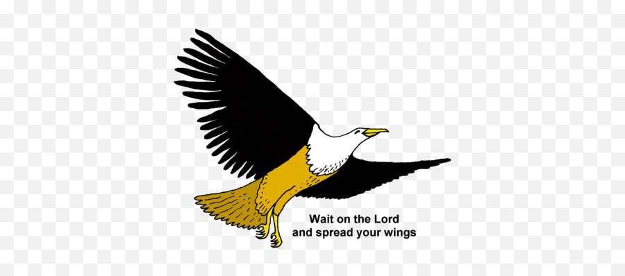 Eagles Wing Christian Clipart - Eagles Christian Clipart Emoji,Eagle Clipart