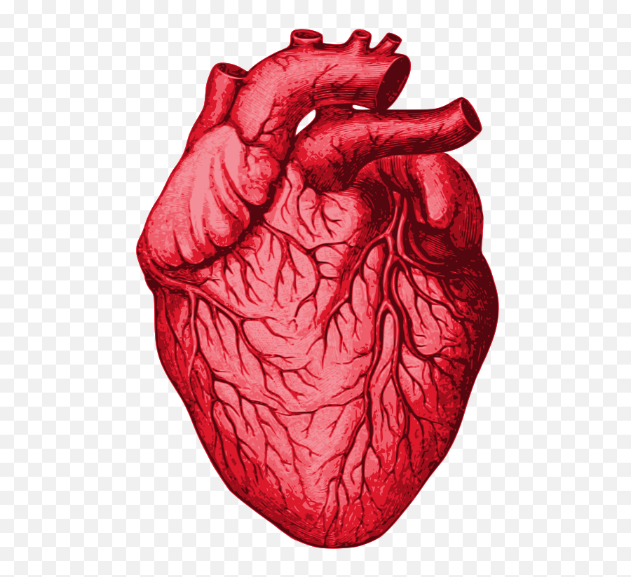 Openclipart - Clipping Culture Drawing Emoji,Human Heart Clipart